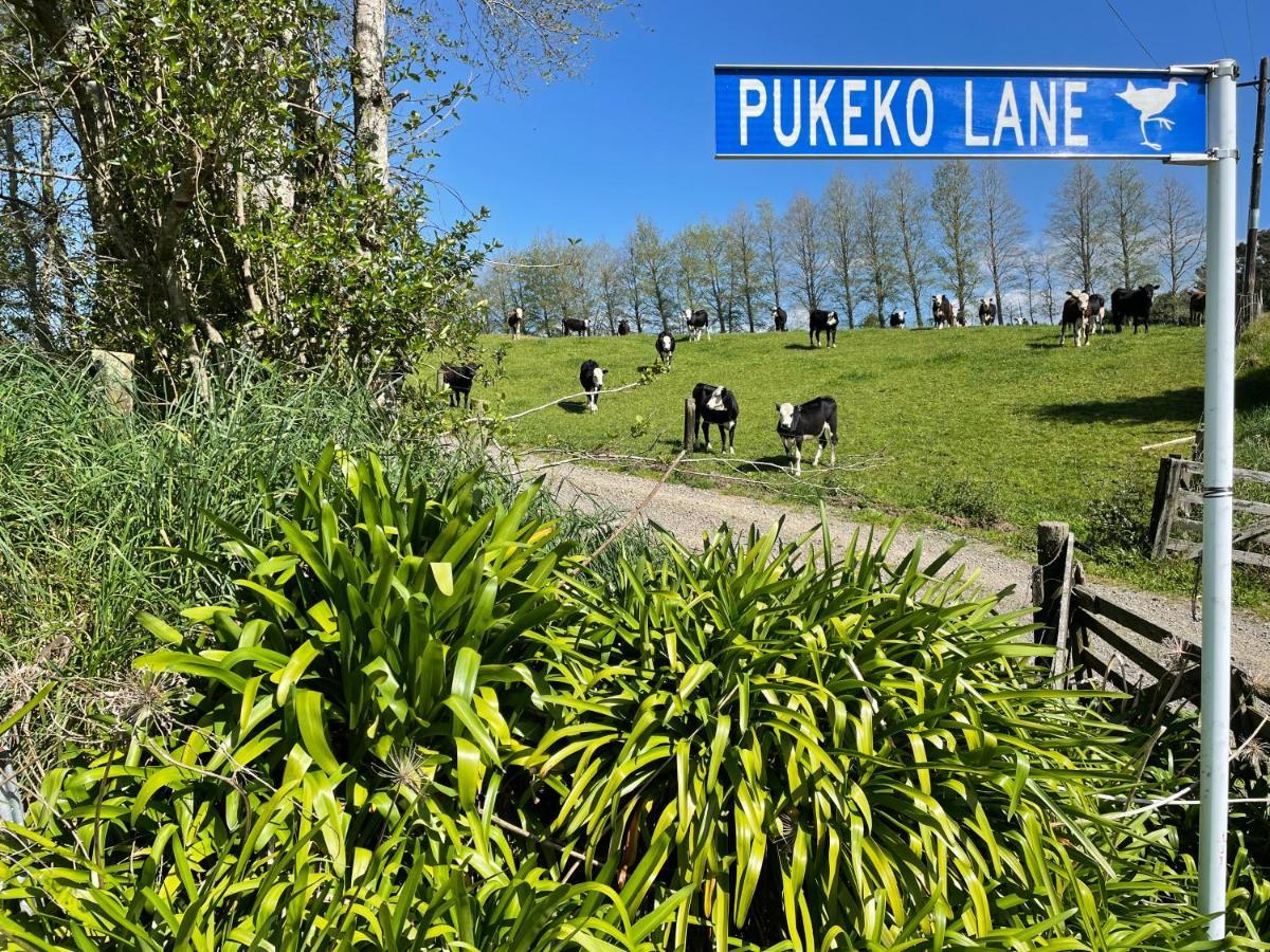 Pukeko Lane Apartment Тауранга Екстериор снимка